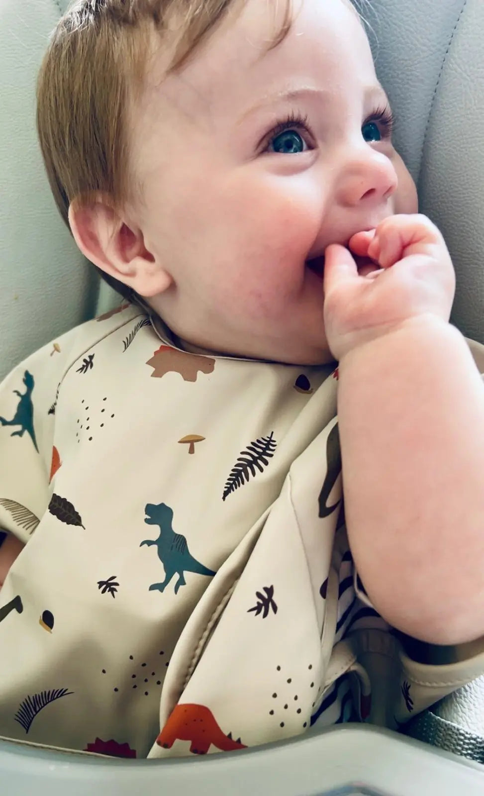 Baby Body Bibs Berry Bloom